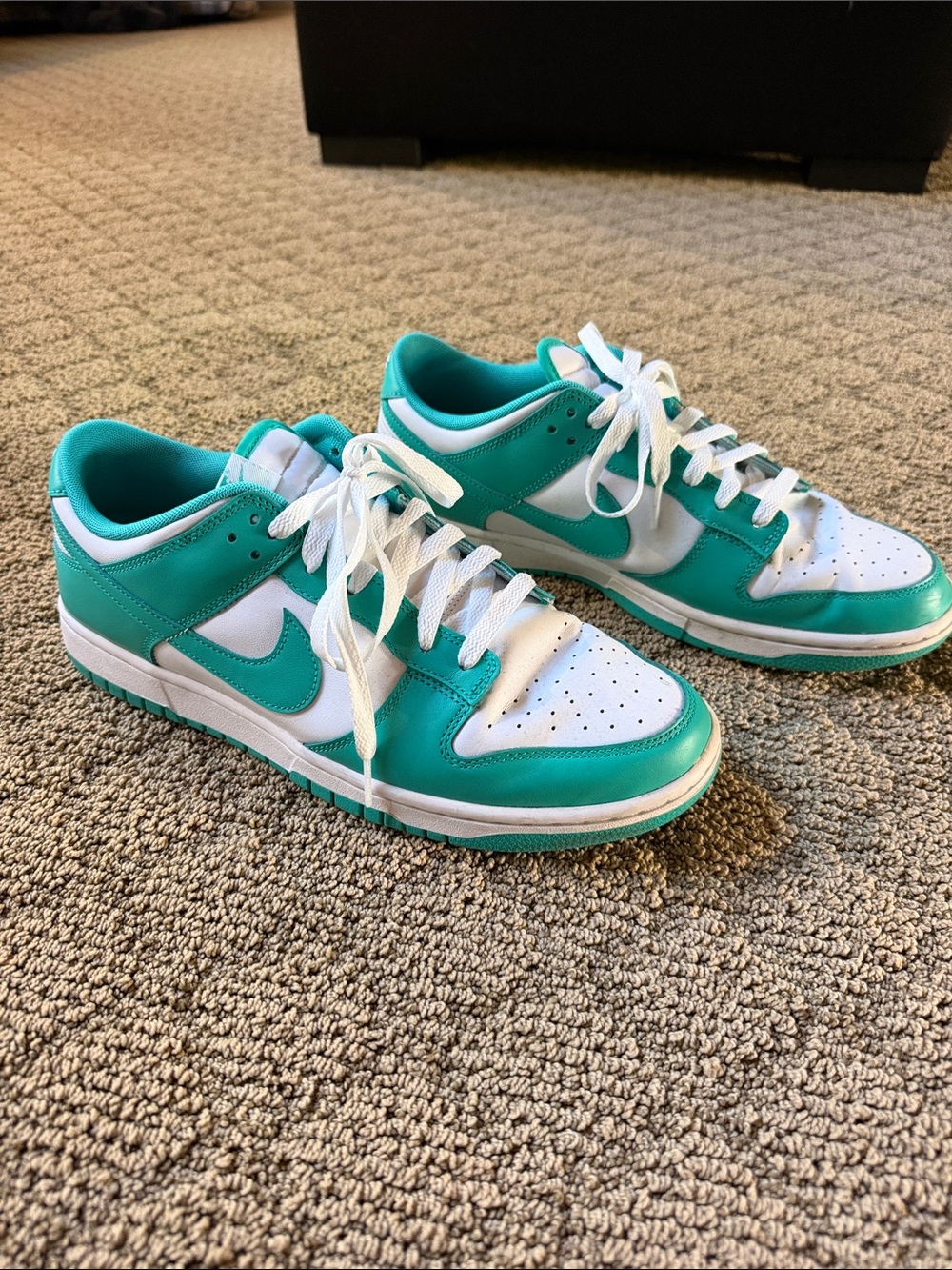 Nike Men's Dunk Low-Top Sneakers — White & Teal